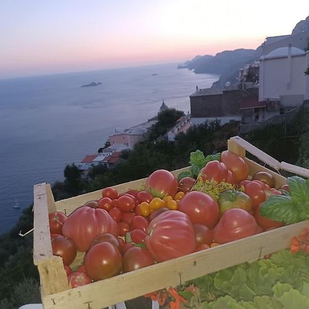 Villa Antica Macina Positano Exteriör bild