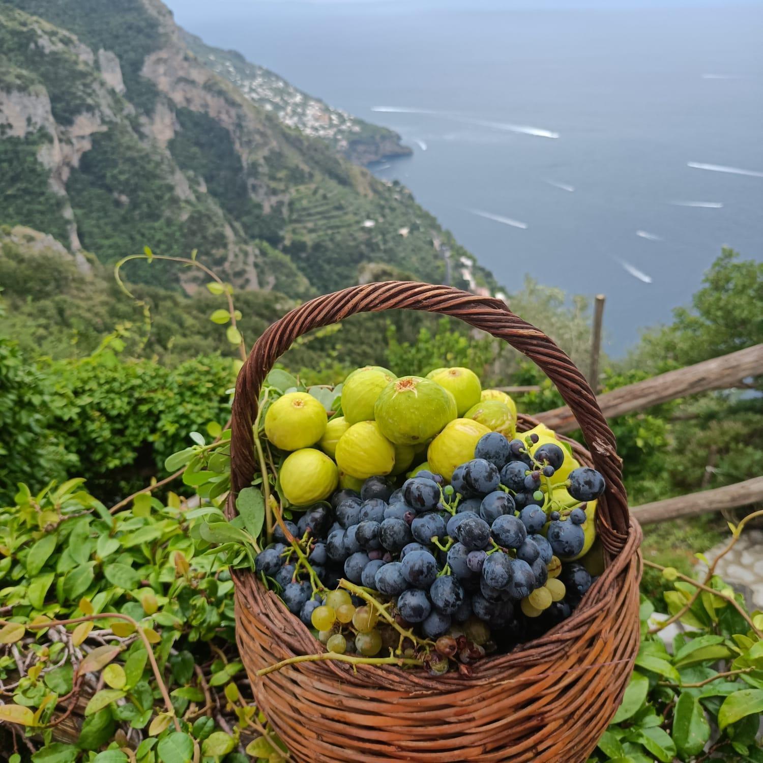 Villa Antica Macina Positano Exteriör bild