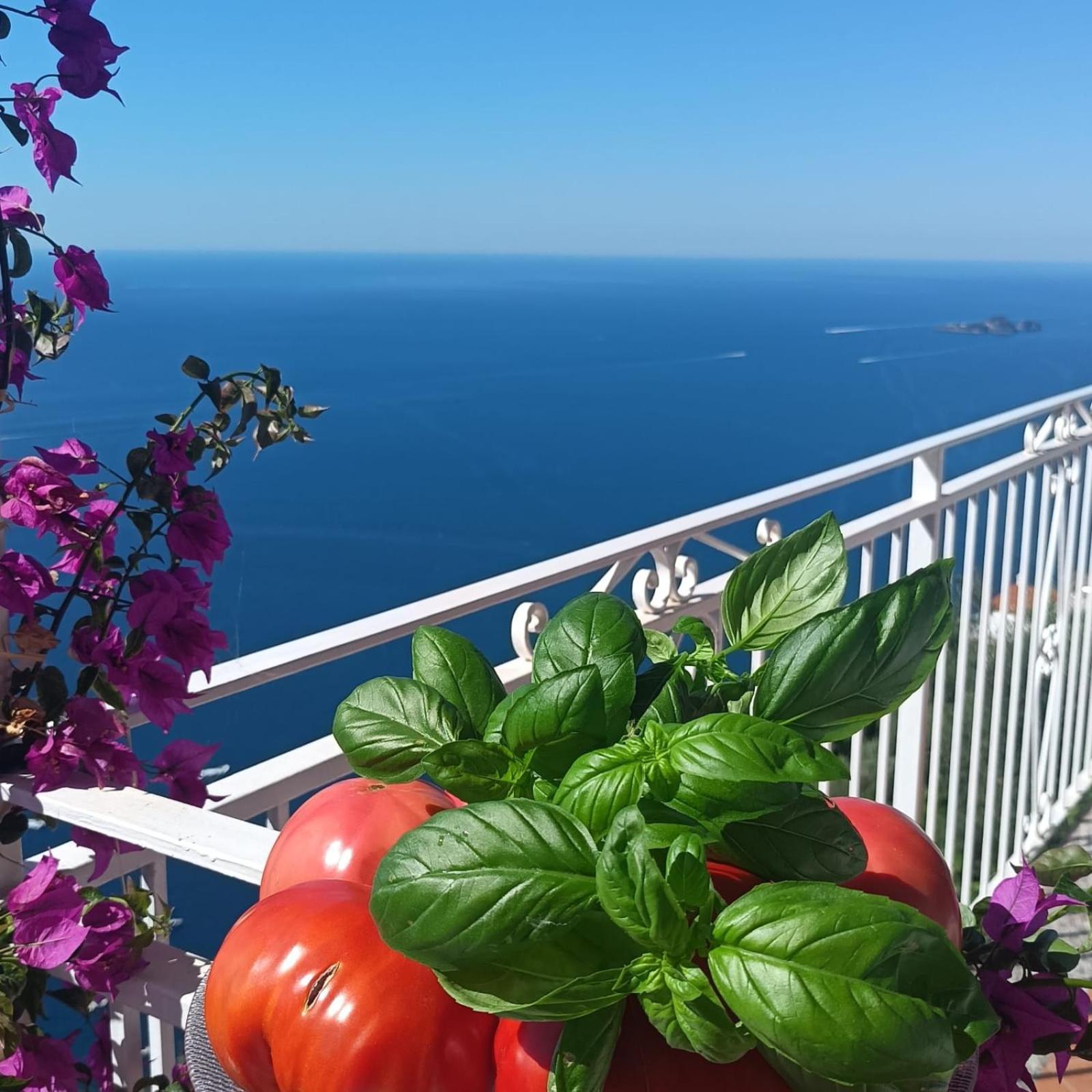 Villa Antica Macina Positano Exteriör bild
