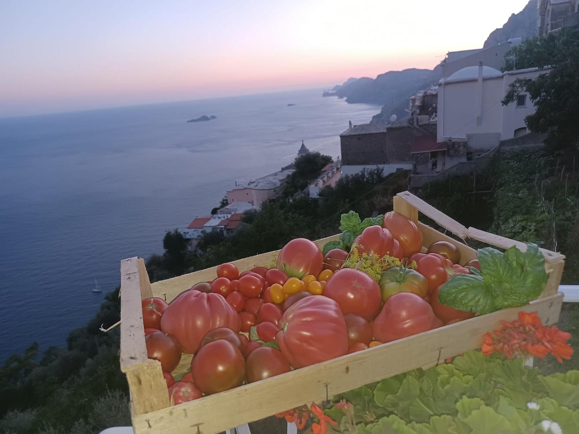 Villa Antica Macina Positano Exteriör bild