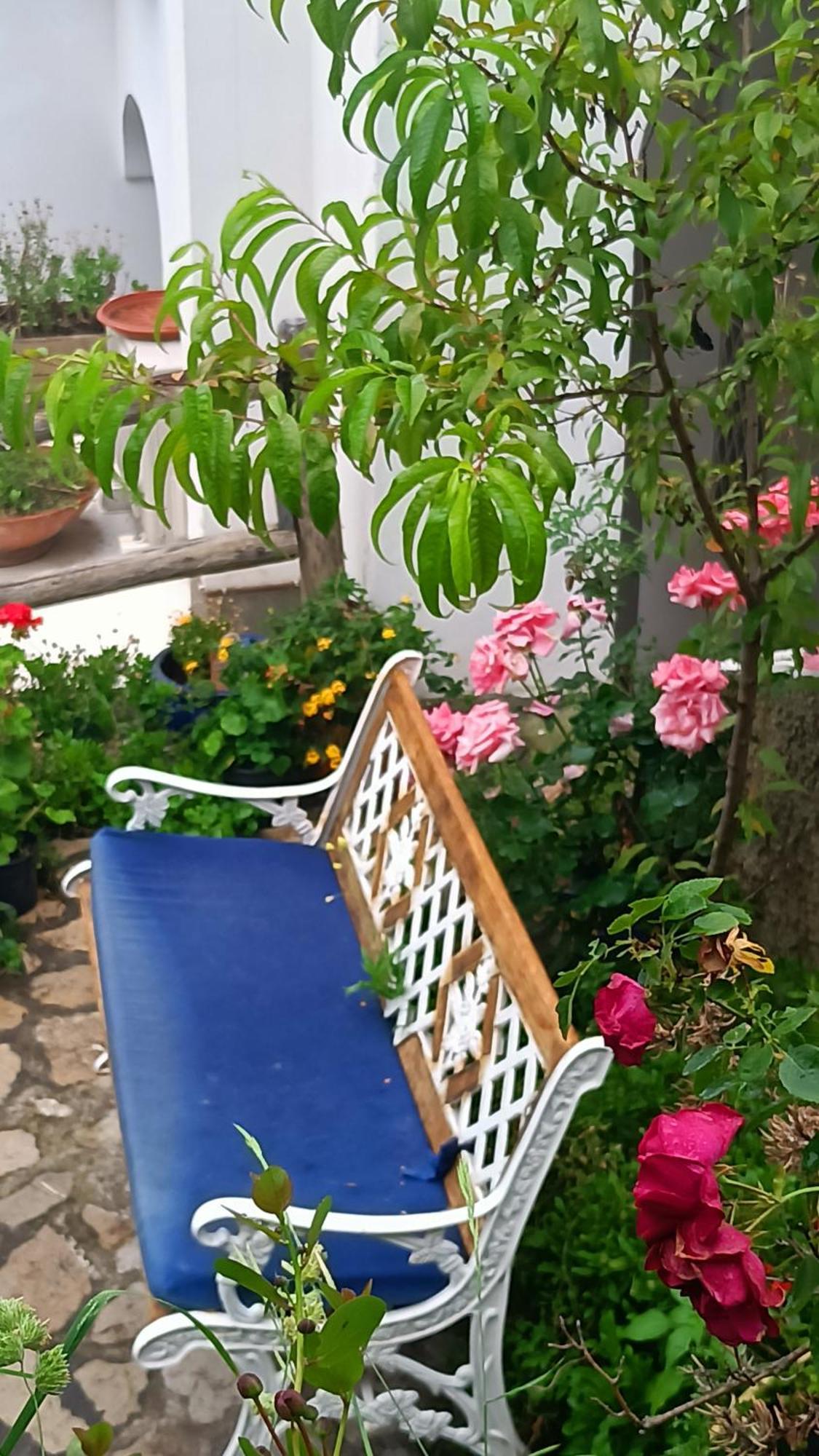 Villa Antica Macina Positano Exteriör bild