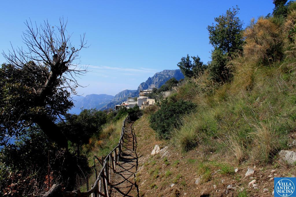 Villa Antica Macina Positano Exteriör bild